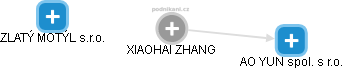 XIAOHAI ZHANG - Vizualizace  propojení osoby a firem v obchodním rejstříku