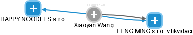 Xiaoyan Wang - Vizualizace  propojení osoby a firem v obchodním rejstříku