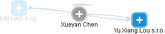  Xueyan Ch. - Vizualizace  propojení osoby a firem v obchodním rejstříku