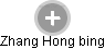 Zhang Hong bing - Vizualizace  propojení osoby a firem v obchodním rejstříku